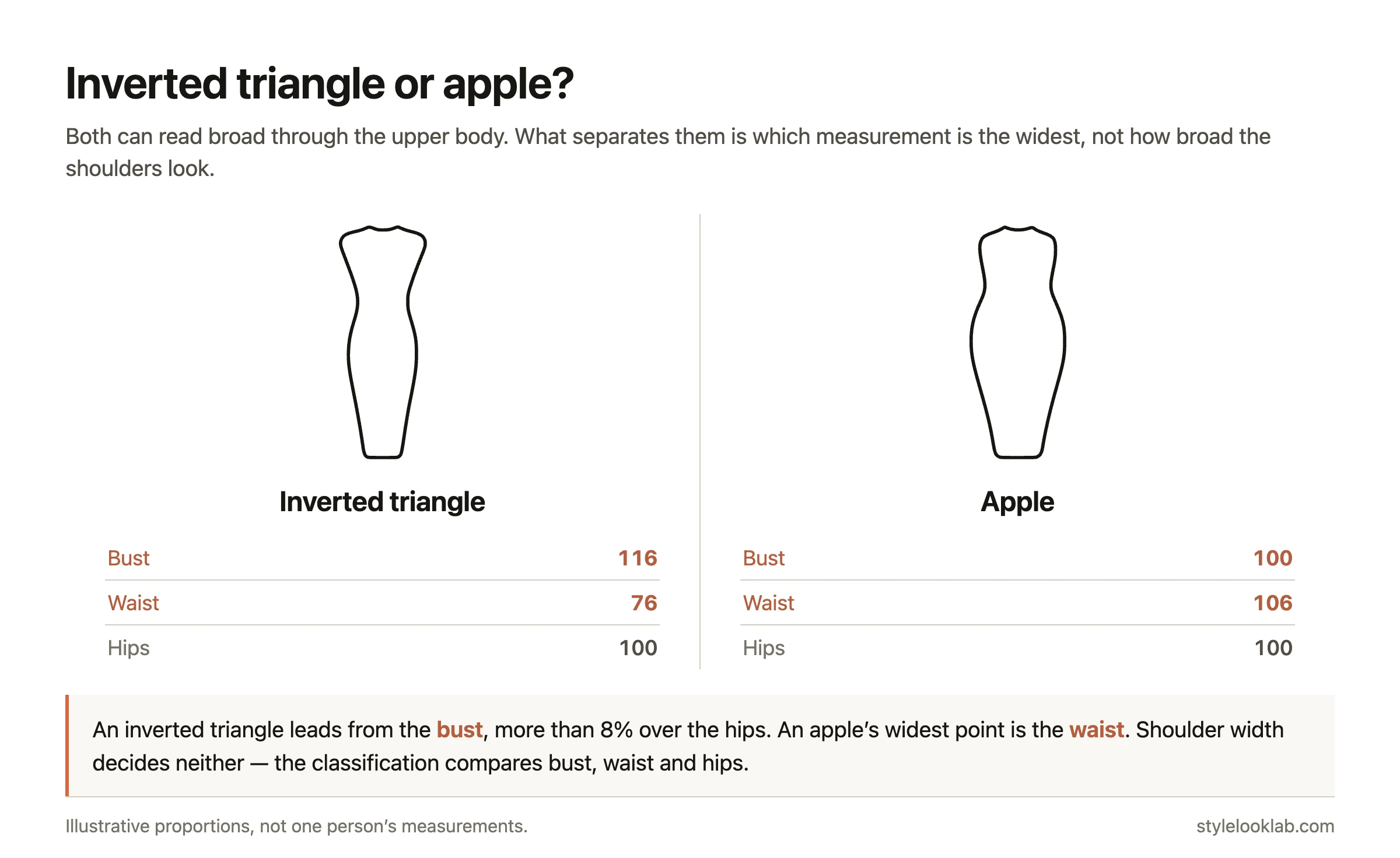 Inverted triangle vs apple body shape compared: which measurement is widest decides between them