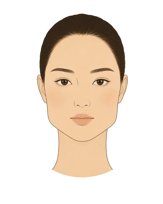Triangle face shape illustration